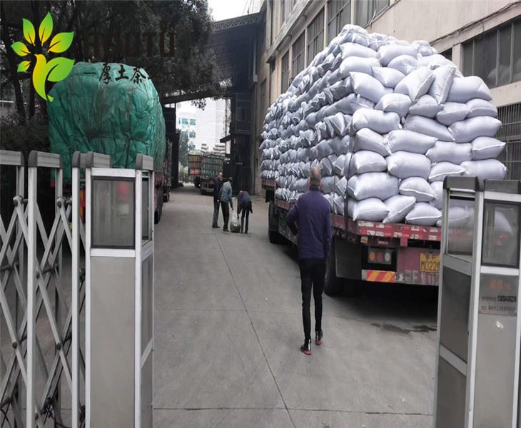  hand make gunpowder tea cheap price